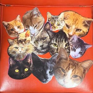 Assorted Cat Face cut outs for scrapbooking, arts and crafts, art projects